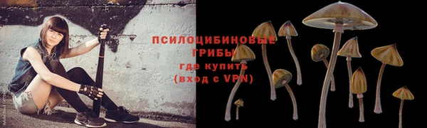 2c-b Абаза
