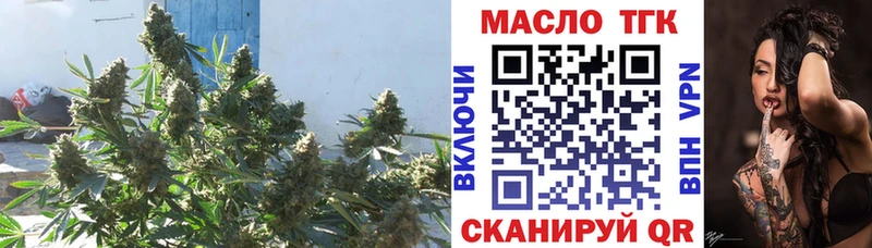 Дистиллят ТГК гашишное масло  omg ссылка  это какой сайт  Монино 