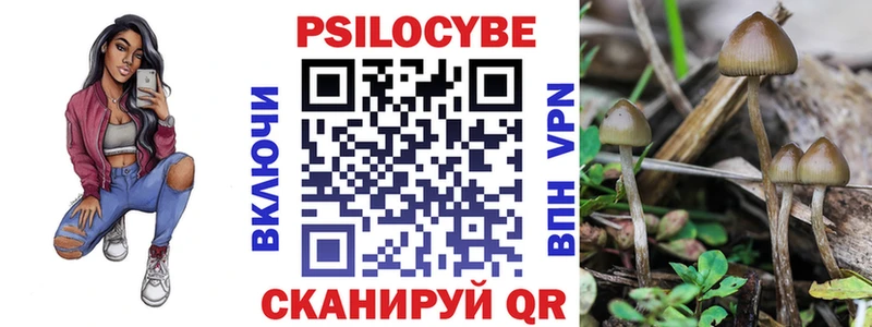 купить закладку  Монино  Псилоцибиновые грибы мицелий 